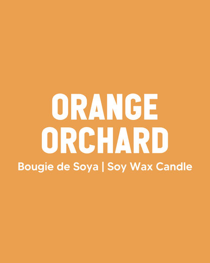 Orange Orchard Soy Candle